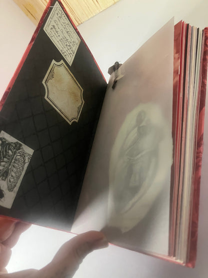 Red journal opened to a translucent page and decorated inside cover