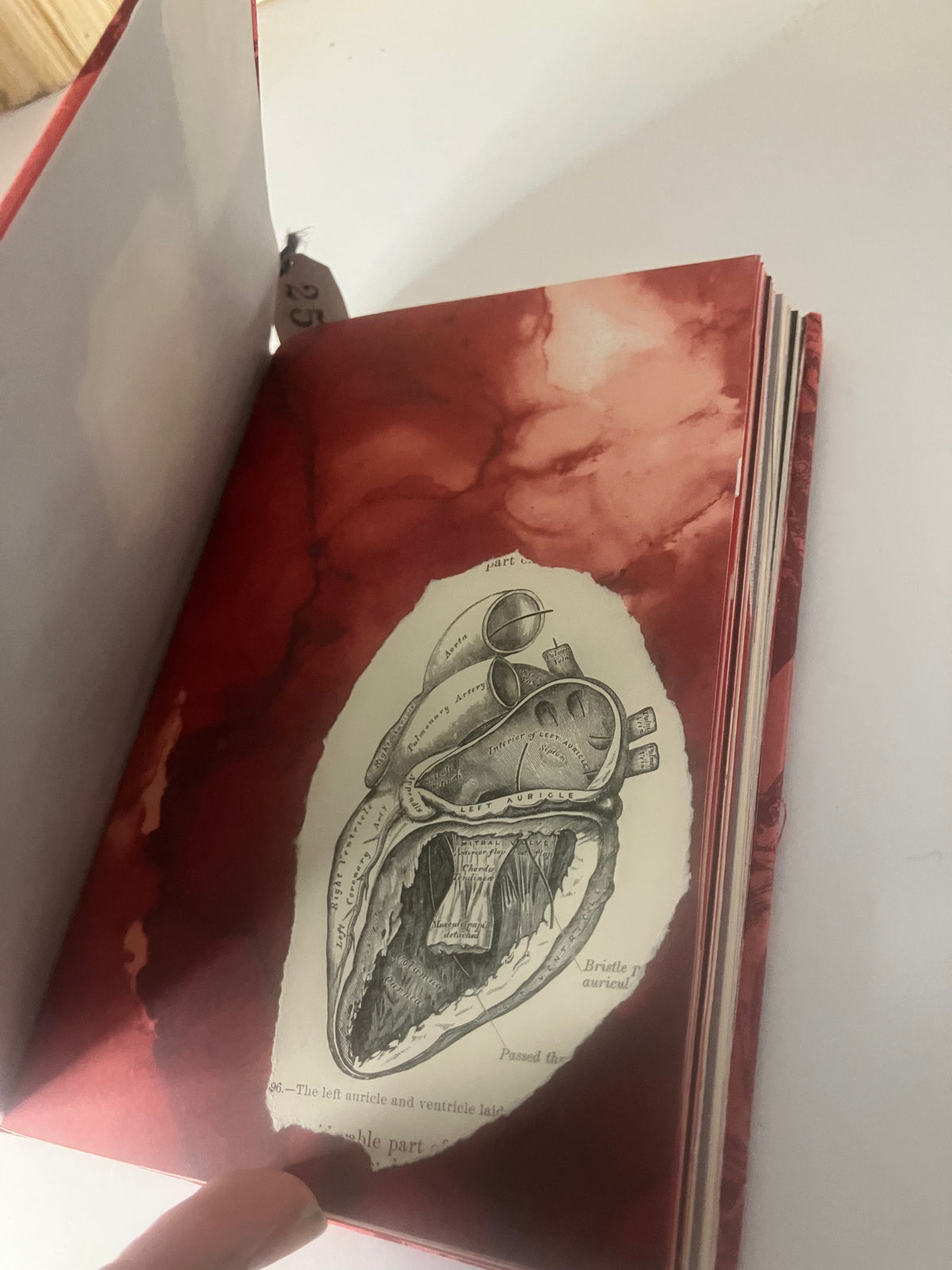 Anatomical heart illustration on a red page inside the handmade journal