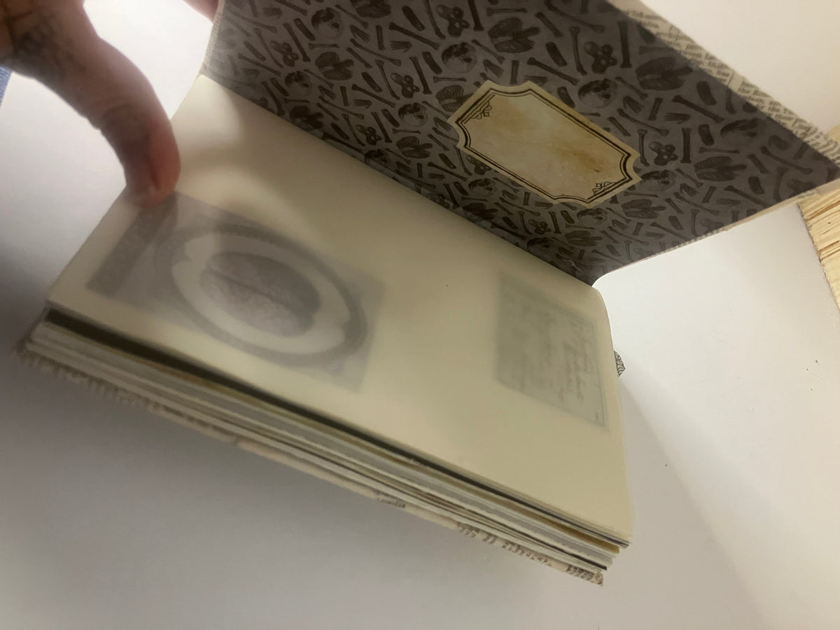 Gray's Anatomy journal opened to a patterned inside cover and translucent page