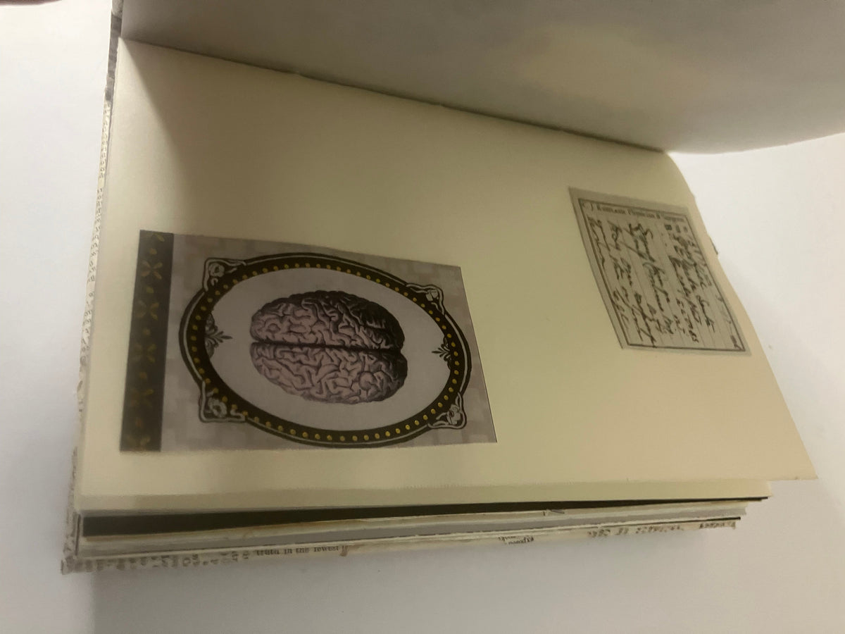Brain illustration and handwritten-style ephemera on an interior journal page